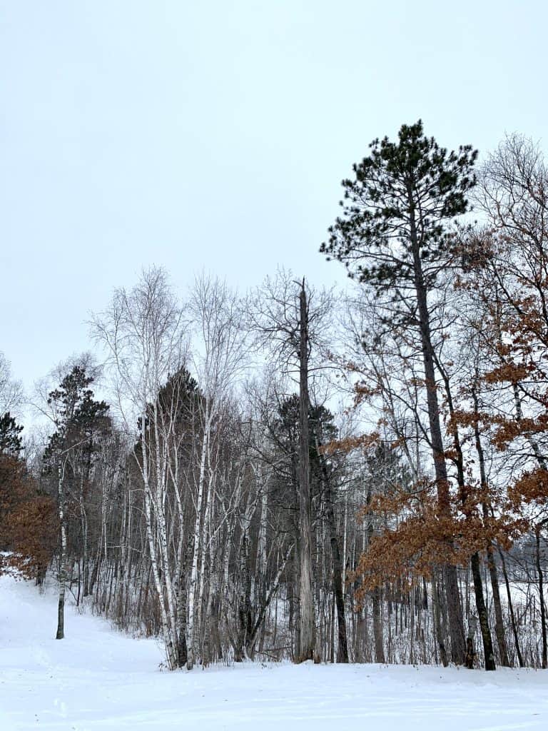 Grand View Lodge, Nisswa, Minnesota