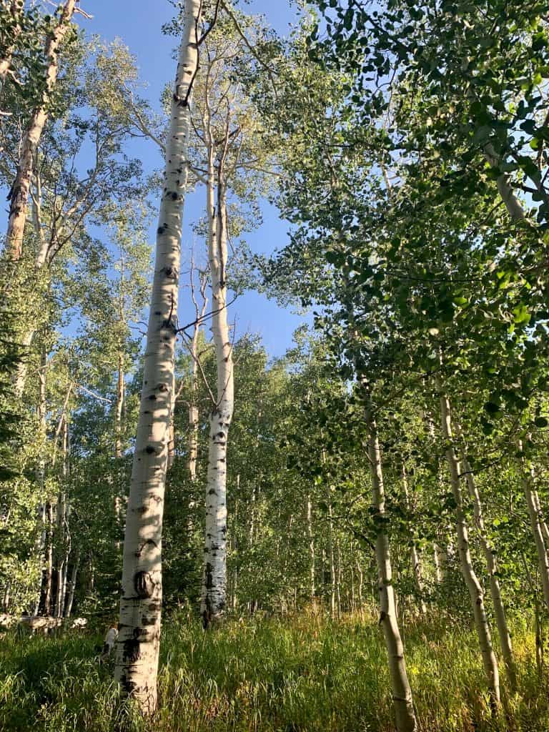 best hike, zirkel, colorado