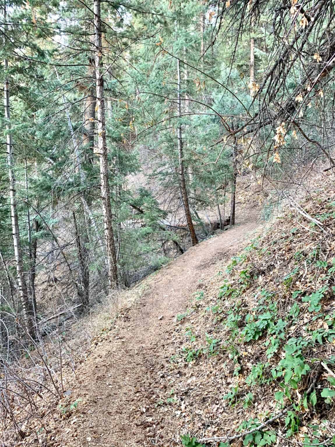 [Hike] White Ranch Park – a girl can tri