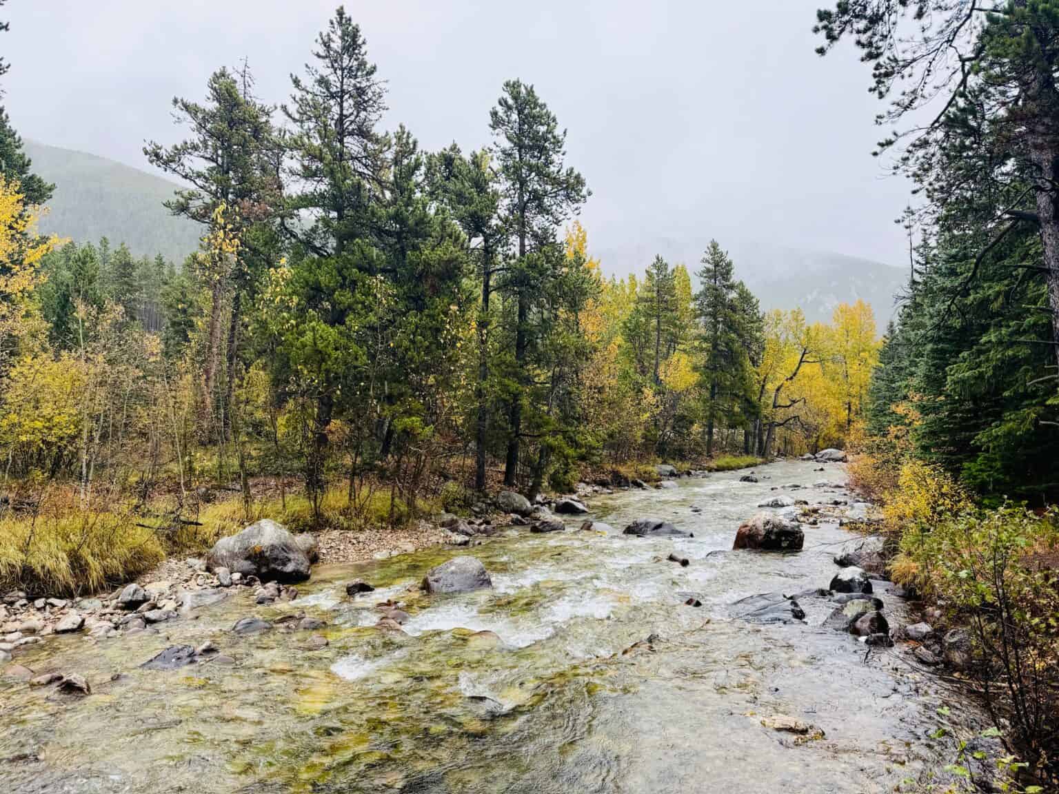 [Hike] Silver Run Trail – a girl can tri